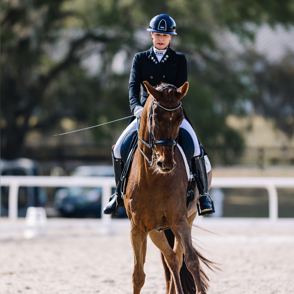 Meet your Posher, Shelley